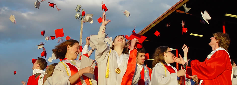 漏洞扫描的网站ddos